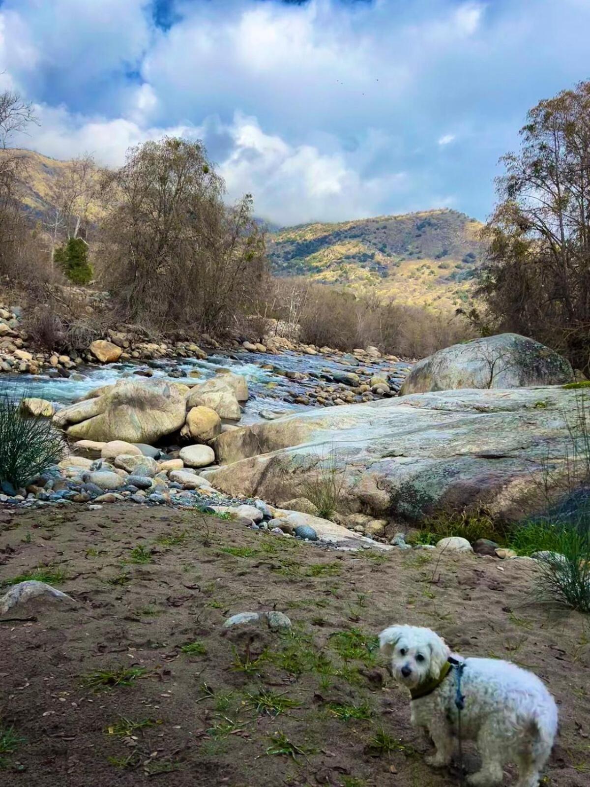 3B Hot Tub, 4Mi From Sequoia, Arcade Games, Foosball Three Rivers Eksteriør bilde